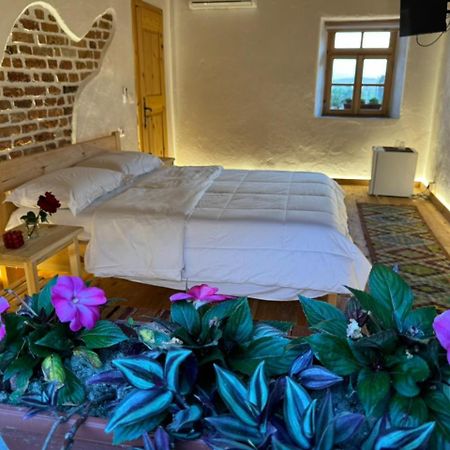 Guesthouse Vitoria - Mrizi I Zanave Fishte Exterior photo