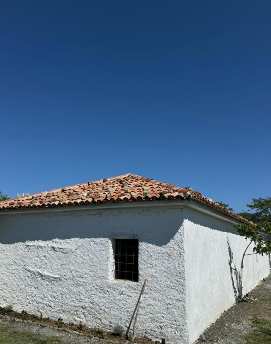 Guesthouse Vitoria - Mrizi I Zanave Fishte Exterior photo