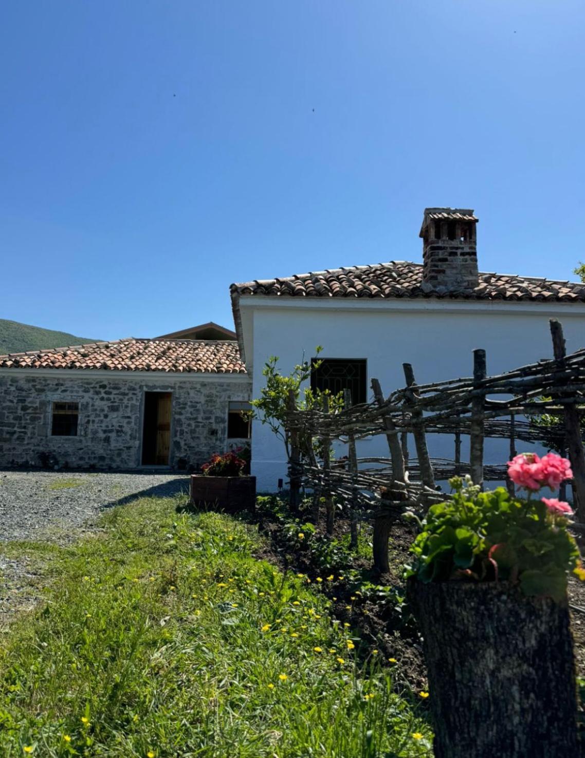 Guesthouse Vitoria - Mrizi I Zanave Fishte Exterior photo