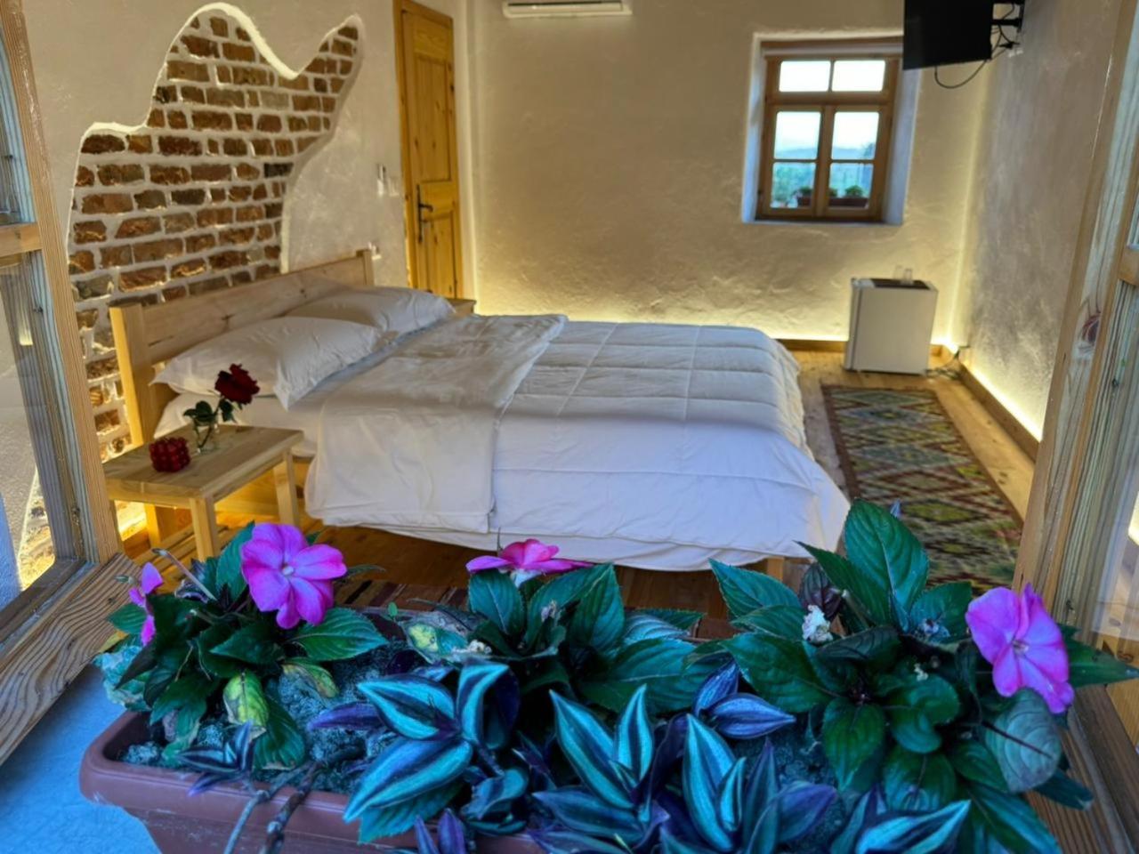 Guesthouse Vitoria - Mrizi I Zanave Fishte Exterior photo